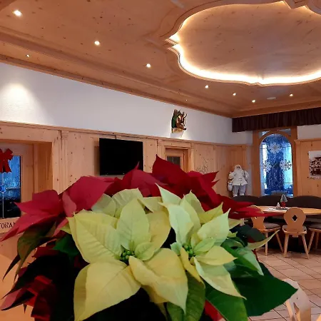 Hotel Vittoria-2